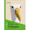 Birds and Mammals of the Galapagos