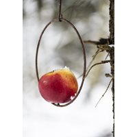 Bird feeder apple