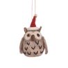 Christmas decorations, Owl with Santa hat blanket