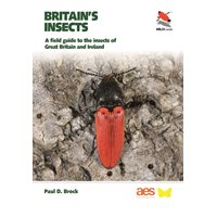 Britain's Insects