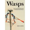Wasps The Astonishing Diversity of a Misunderstood Insect