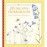 Humlans herbarium : Flora, växtpress och herbarium