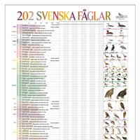 Poster 202 Birds in Sweden