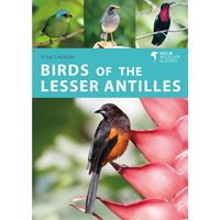 Birds of the Lesser Antilles