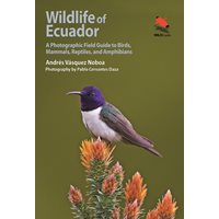 Wildlife of Ecuador: A Photographic Field Guide to Birds, Mammals, Reptiles, and Amphibians