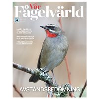 Utlandsmedlem BirdLife Sverige 2022