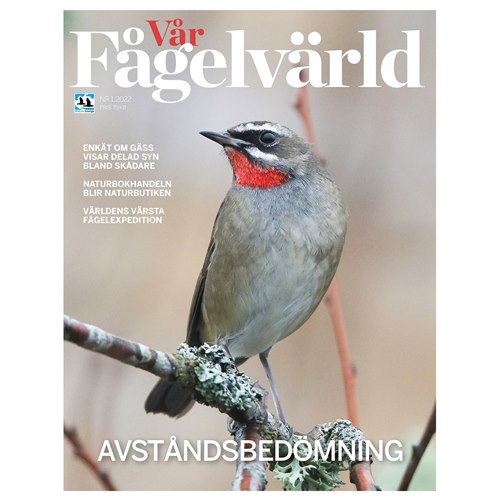 International Member Birdlife Sweden 2018