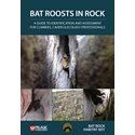 Bat roosts in rock