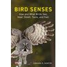 Bird Senses
