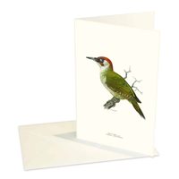 Card Green woodpecker