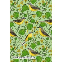 Postcard yellow wagtails