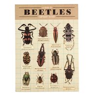 Tattoo beetles