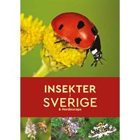 Insekter i Sverige & Nordeuropa