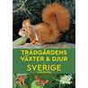 Trädgårdens växter & djur i Sverige & Nordeuropa