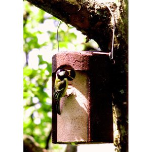 Nestbox Woodcrete For Tits 32mm 1B Brown - Naturbutiken