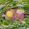 Kew Garden Eldenflower & Pomelo Luxury Shea Butter 240 gr