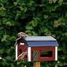 Bird feeder - Red Barn