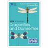 RSPB ID Spotlight - Dragonflies and Damselflies