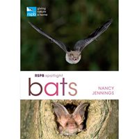 RSPB Spotlight Bats