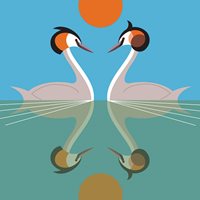 Great Crested Grebe, Everyday Single Card