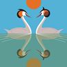 Great Crested Grebe, Everyday Single Card