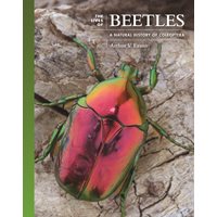 The Lives of Beetles