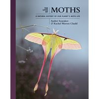 The Lives of Moths