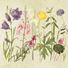 Napkin summerflowers