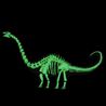 3D Dinosaur - Glow in the Dark