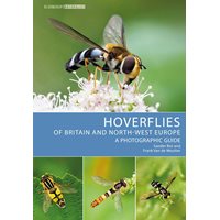 Hoverflies of Britain and North-West Europe