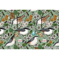 Postcard The pattern of the nuthatch