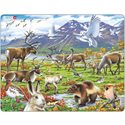 Puzzle Tundra animals, 50 pieces