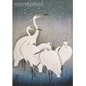 Vykort A Group of Egrets
