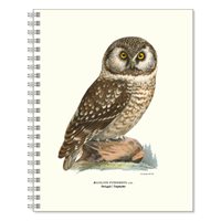 Writing book Owl
