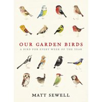 Our garden birds