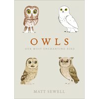 Owls - our most enchanting bird