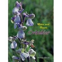 Möten med Ölands orkidéer