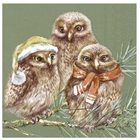 Napkin Owls