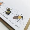 Bee Writing Set