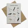 Coastal Birds Illustrated Card - Recycled & Eco Friendly