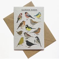 Kort Garden Birds