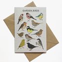 British Garden Birds Card - Recycled & Eco Friendly