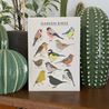 British Garden Birds Card - Recycled & Eco Friendly