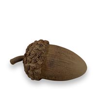 Acorn big