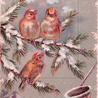 Napkin Birds on winter branch