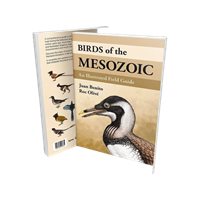 Birds of the Mesozoic An Illustrated Field Guide