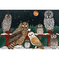Postcard owls by night