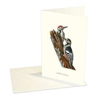 Double card vintage Woodpecker