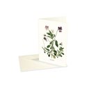 Double card vintage  Viola tricolor