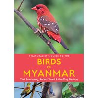 Naturalist's Guide to the Birds of Myanmar